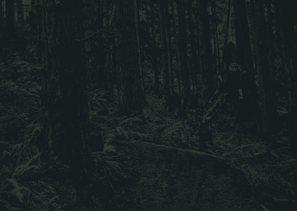 Rider's in the dark forest
